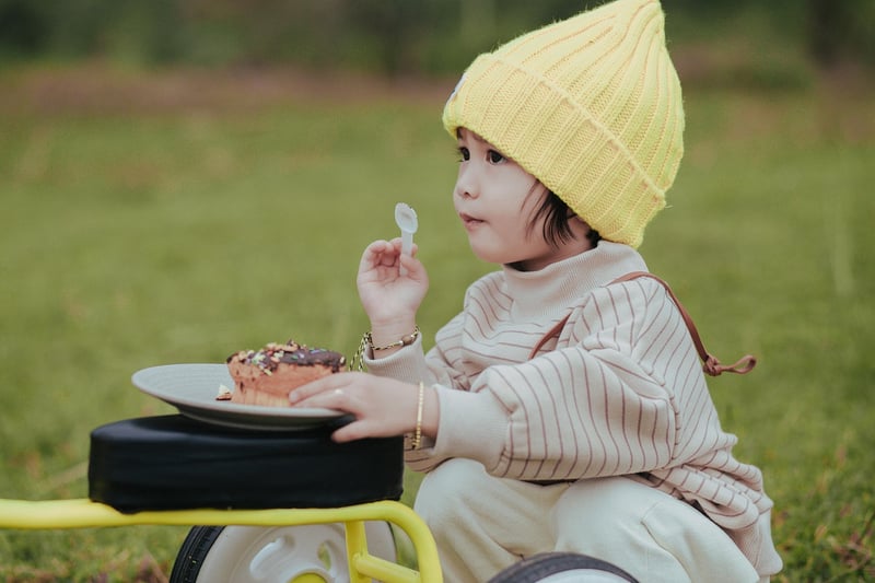 Picnic Basket